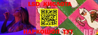 прущие грибы Малгобек