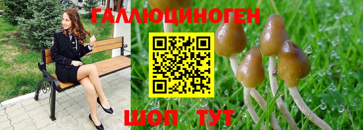 Псилоцибиновые грибы ЛСД  Галлюциногенные грибы MAGIC MUSHROOMS  Вход с VPN  Дубна 